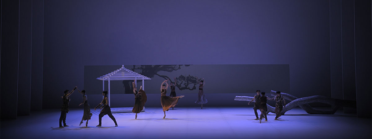 ShowTex BellaVista, RP Grey, Universal 250 BB Print, Metallic Spark for Liaoning Ballet Group