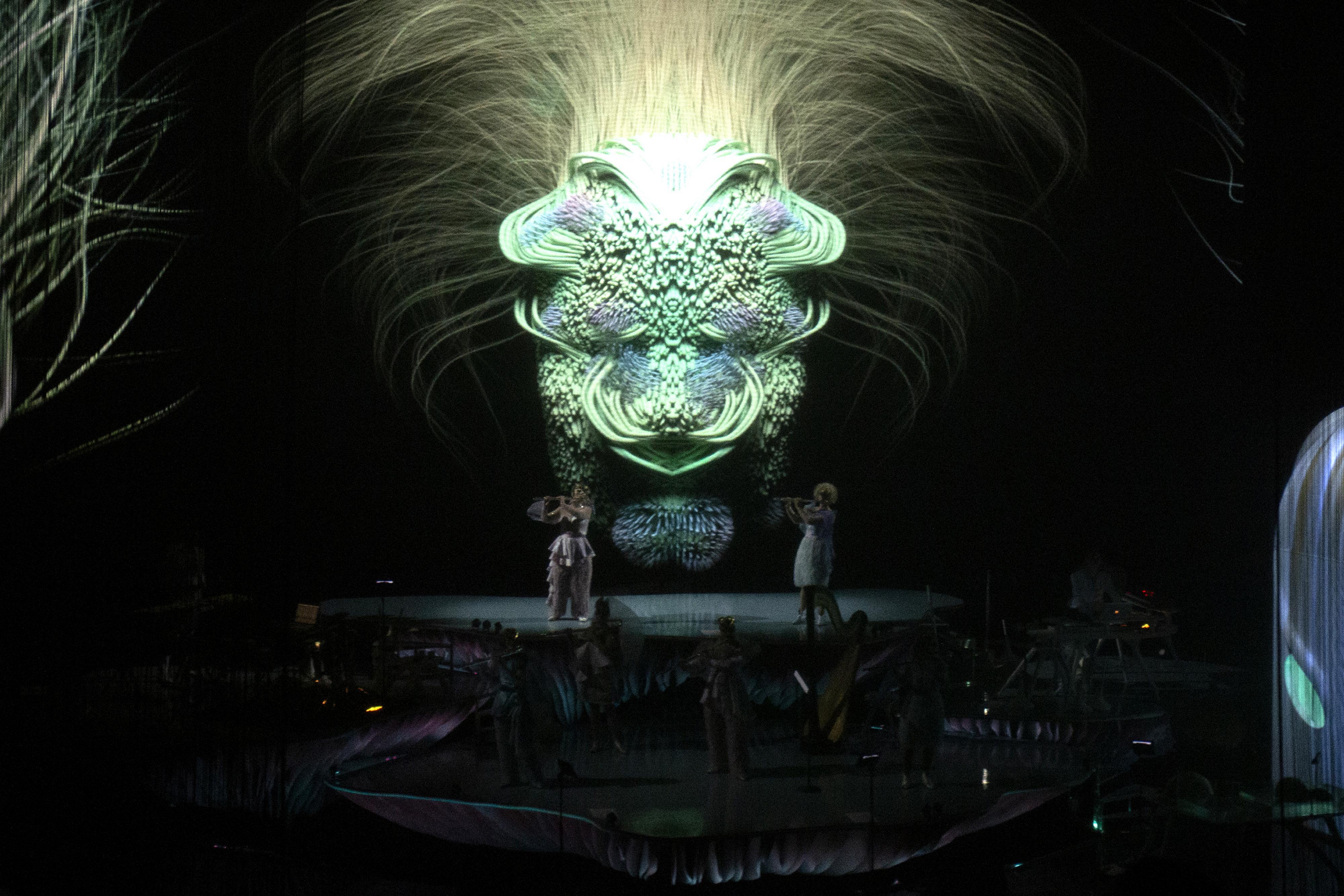 Björk - Unconventional projection materials