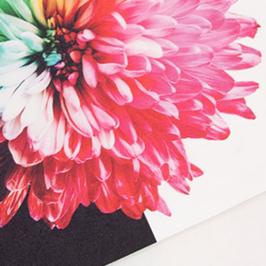 DropPaper 137 Print (0003)