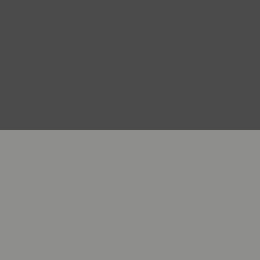 DanceCarpet Duo (0664)