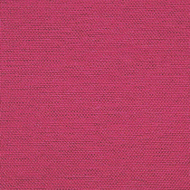 Sitta (4010)