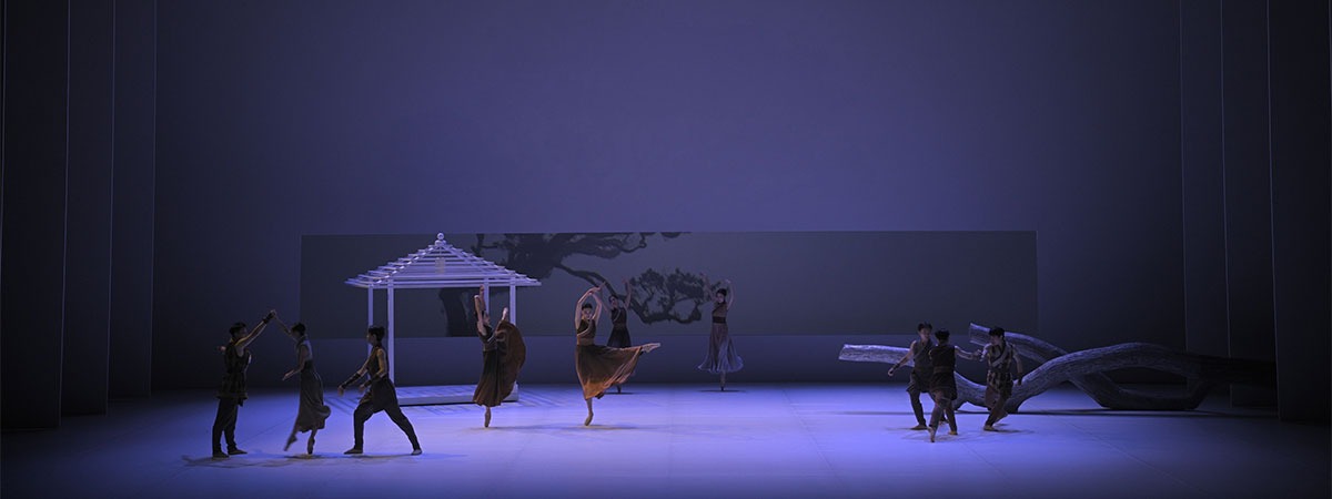ShowTex BellaVista, RP Grey, Universal 250 BB Print, Metallic Spark for Liaoning Ballet Group
