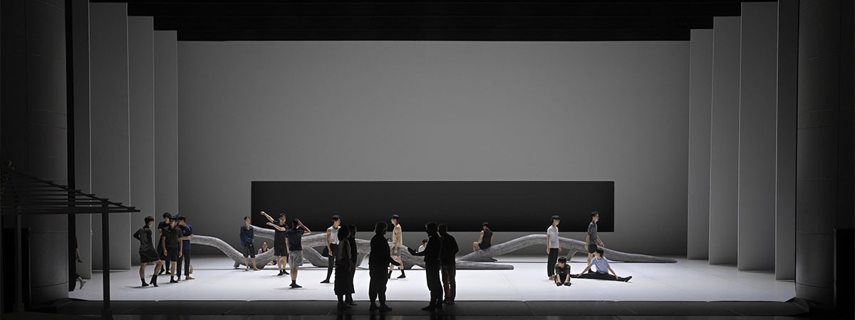 ShowTex BellaVista, RP Grey, Universal 250 BB Print, Metallic Spark for Liaoning Ballet Group