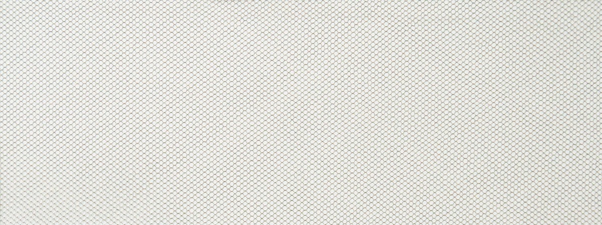 PepperScrim - 3D Hologram scrim