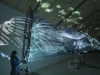 Projection on scrims by ShowTex