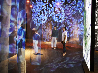 Immersive projection mapping on grey scrims