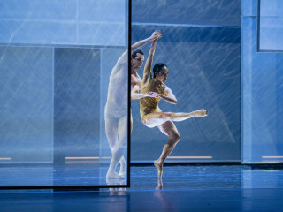 ShowTex Tulle Aymond Mini projection surface for ballet