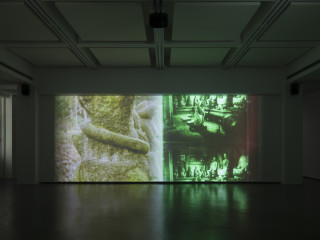 ShowTex Molton CS white as projection surface for museum installation