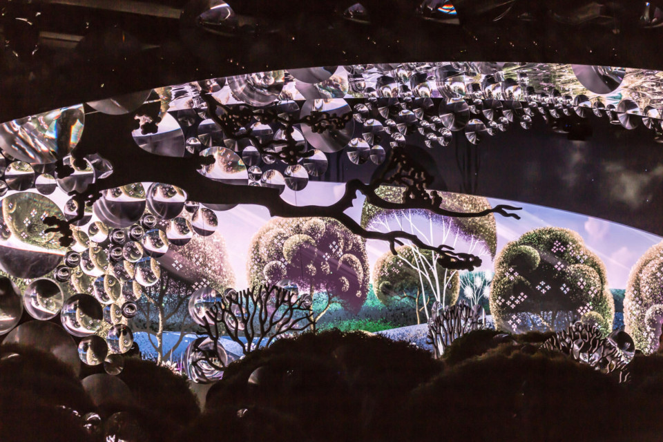Printed backdrop