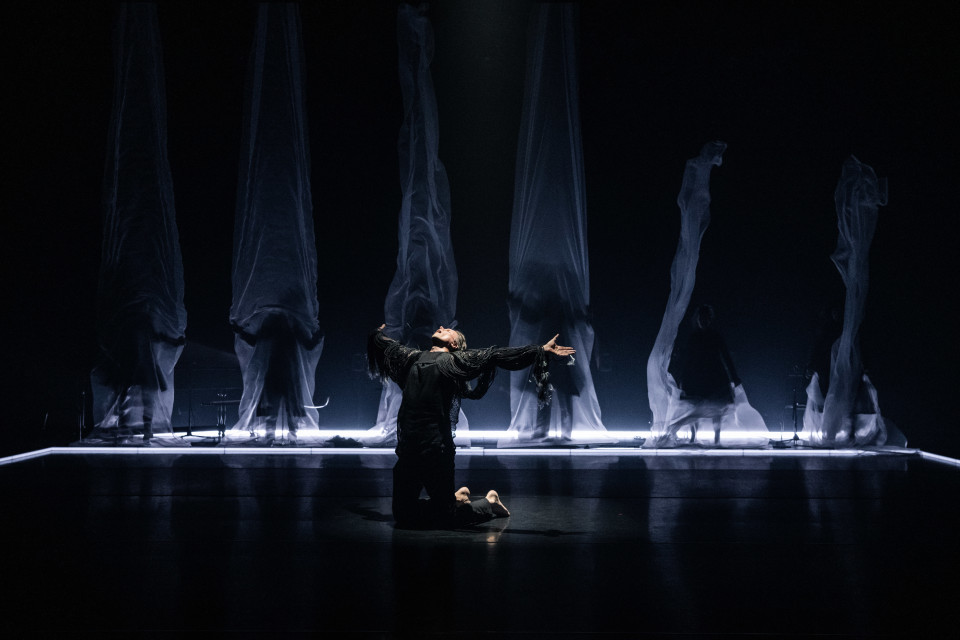 ShowTex FeatherSilk, LaserVoile for Third Practice - Tero Saarinen Dance Company