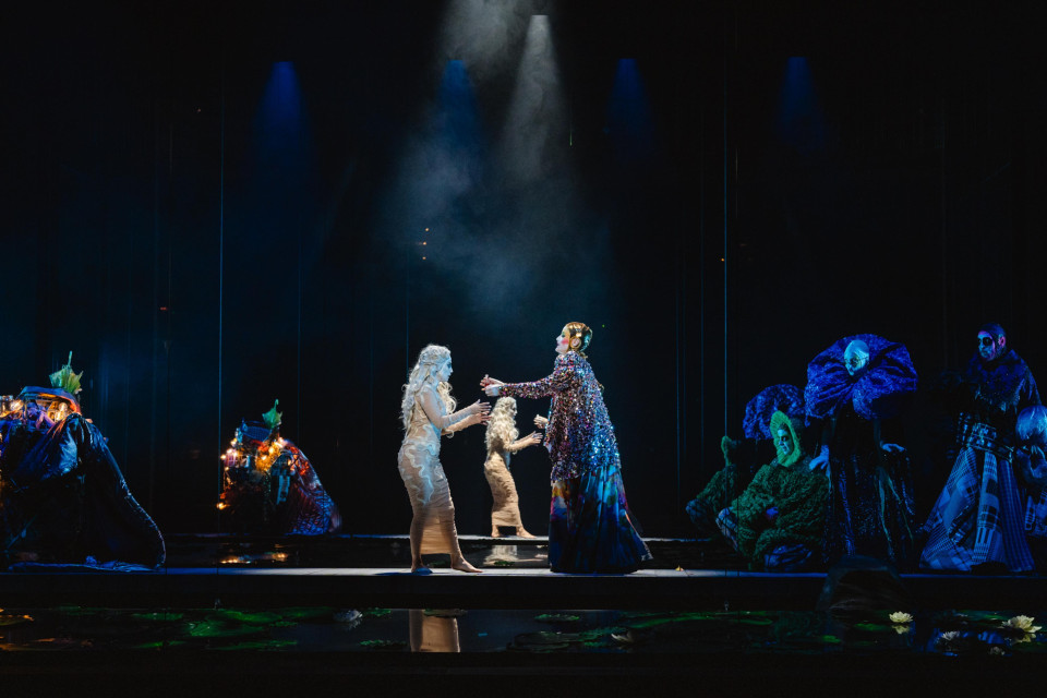ShowTex GiantMirror for Rusalka opera