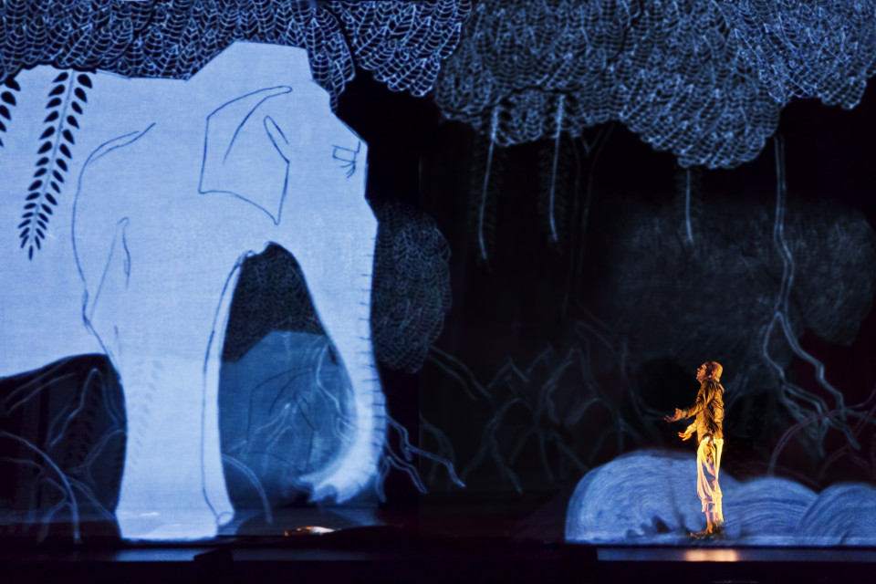 ShowTex DanceCarpet Duo, GobelinTulle for DESH by Akram Khan