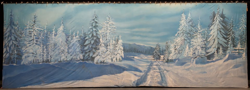 ShowTex rental painted backdrop