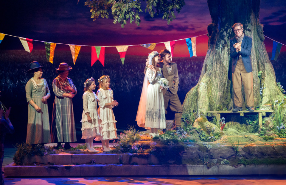 ShowTex Molton CS, Juncko, RP Black, Universal 250 Print, EasyDrape for 14-18 Musical