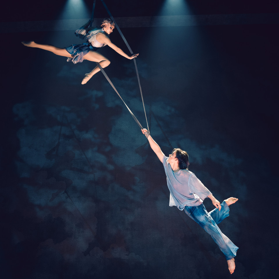 ShowTex Kabuki, HiSpeed Reveal, Voile CS, Cotton Mesh Print, Molton CS Print for Cirque du Soleil ALIZÉ