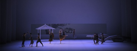 ShowTex BellaVista, RP Grey, Universal 250 BB Print, Metallic Spark for Liaoning Ballet Group