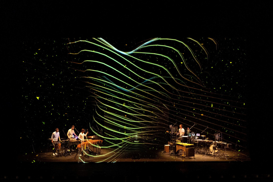 Xdfgh Repercussion : projection holographique