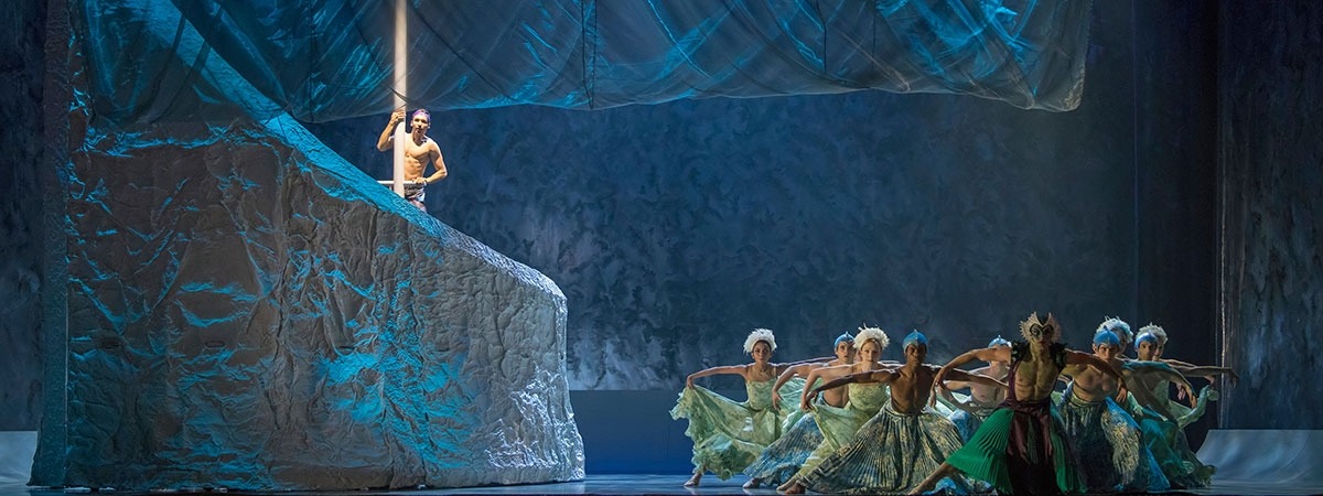 Emma Kauldhar The Little Mermaid Ballet - AluShape Cretonne