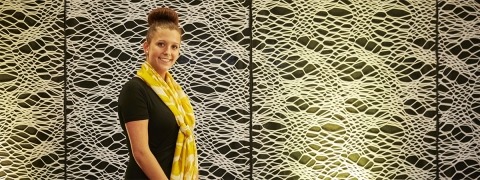 ASP SpiderNet - stage net