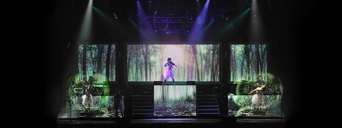 Steve Jennings Lindsey Stirling - Brave Enough