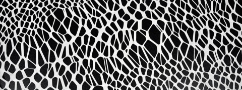 SpiderNet - stage net SpiderNet - stage net