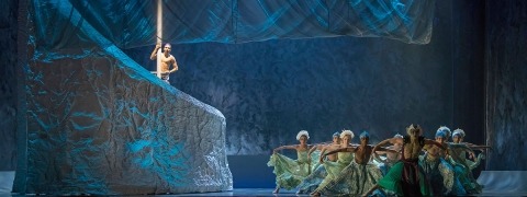 Emma Kauldhar The Little Mermaid Ballet - AluShape Cretonne